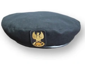 Beret PSP
