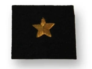Dystynkcja na beret PSP